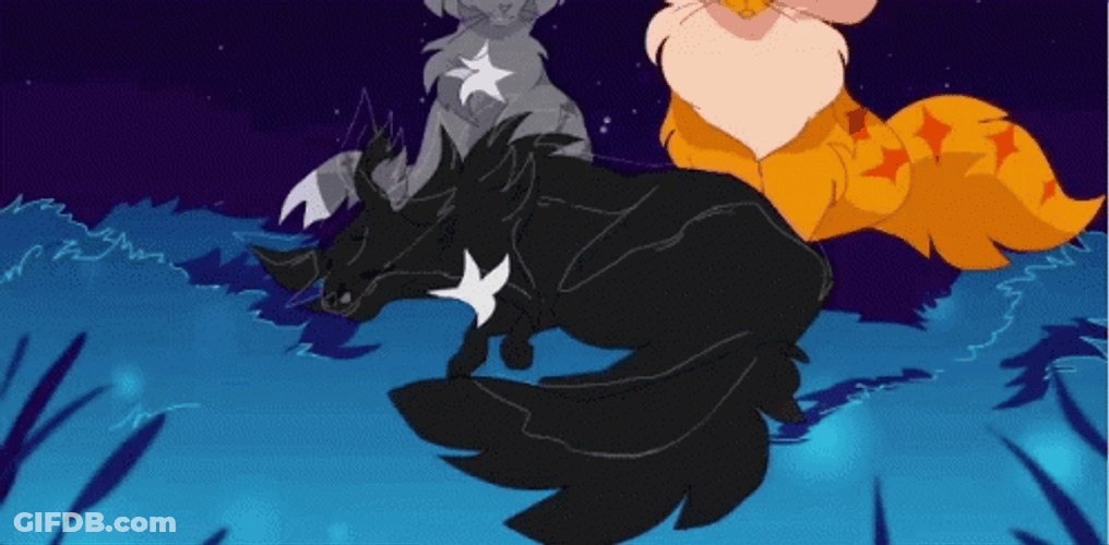 Glittery Warrior Cats GIF