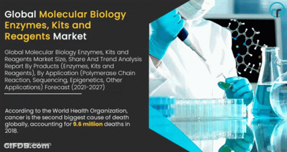 Global Molecular Biology Enzymes GIF