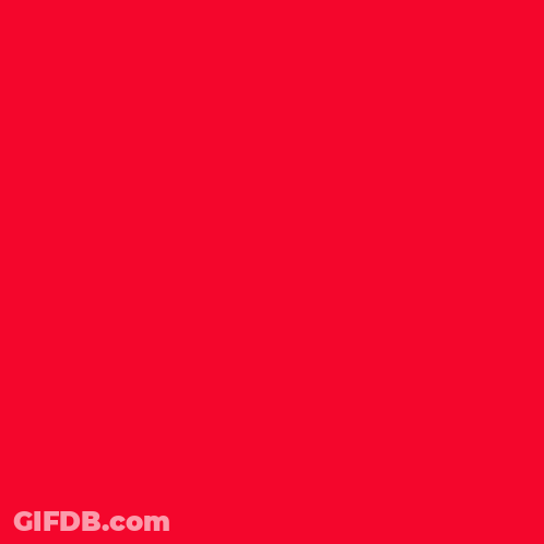 Gloria Steinem Poster Says A Feminist Is Anyone Who Recognizes The Equality And Full Humanity GIF