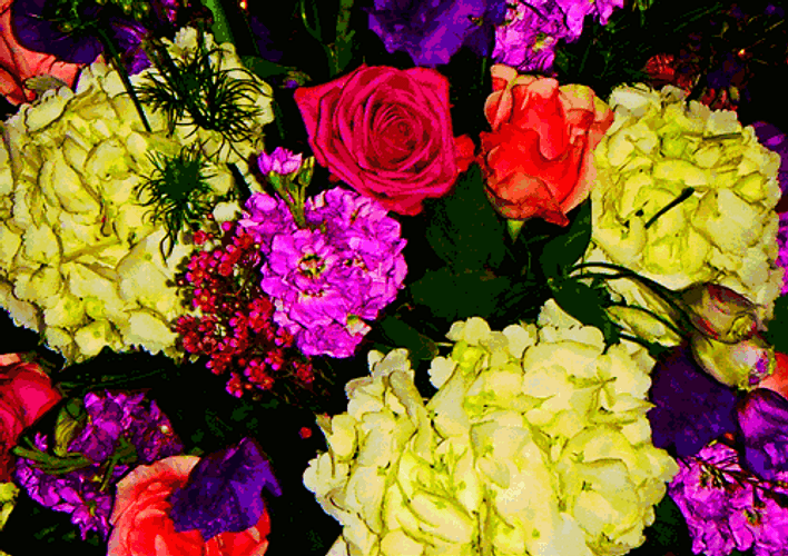 Glowing Carnation Flowers GIF