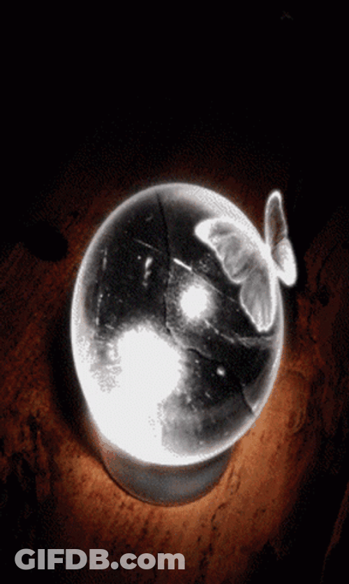 Glowing Clear Crystal Ball GIF