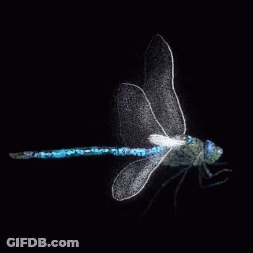 Glowing Dragonfly With Long Tail GIF