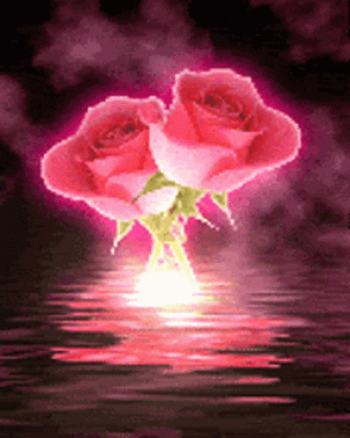 Glowing Neon Pink Rose GIF