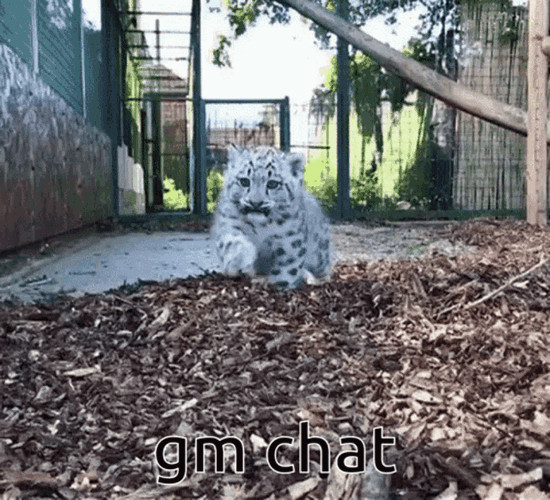 Gm Chat GIF