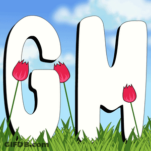 GM Letters Sitting In Grass With Red Flowers GIF