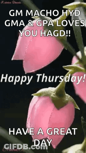 GM Macho Hyd Gma & Gpa Love You Hagd Have A Great Day GIF
