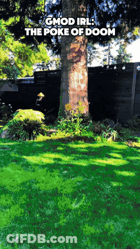GMod IRL Poke Of Doom Above Tree GIF
