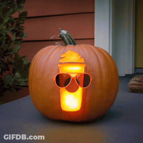 Gnome Holding Pumpkin In Front Of Pumpkin Spice Is Life Signs GIF