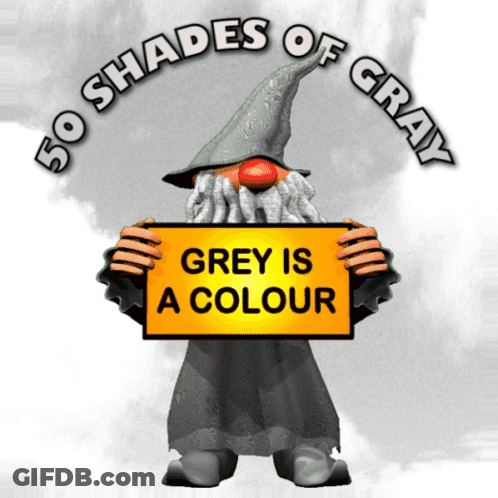 Gnome Holding Yellow Sign Saying Grey Is A Colour GIF