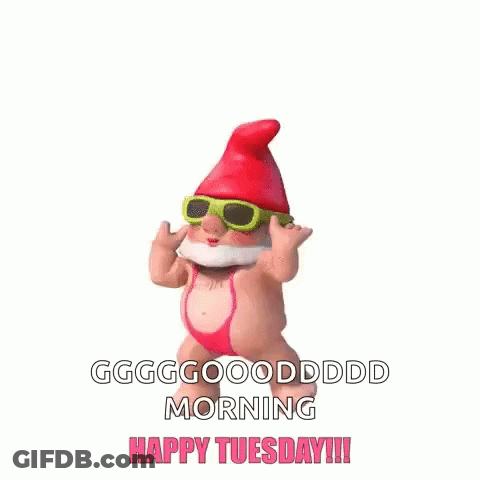 Gnome In Sunglasses And Pink Bikini Dancing Saying Good Morning Happy Tuesday GIF