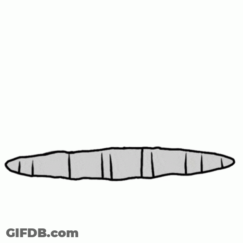 Gnome Samorost Video Game Hole Pop Out GIF