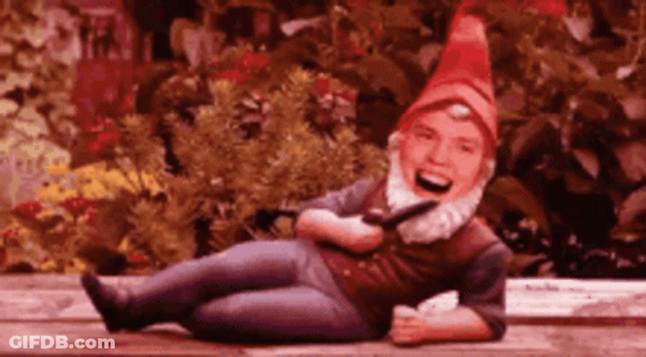 Gnome Youtuber Roomie Laugh GIF