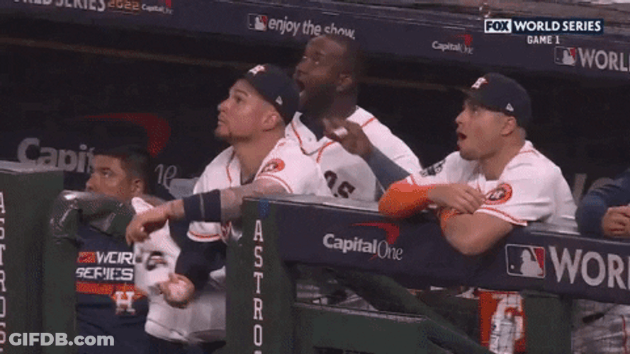 Go Astros Yordan Alvarez GIF