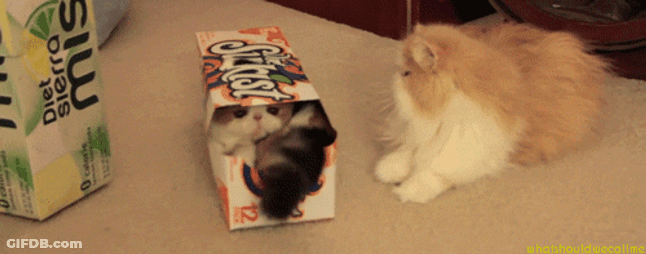 Go Away From Me Leave GIF