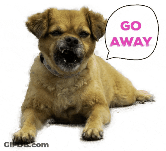 Go Away Mushu GIF