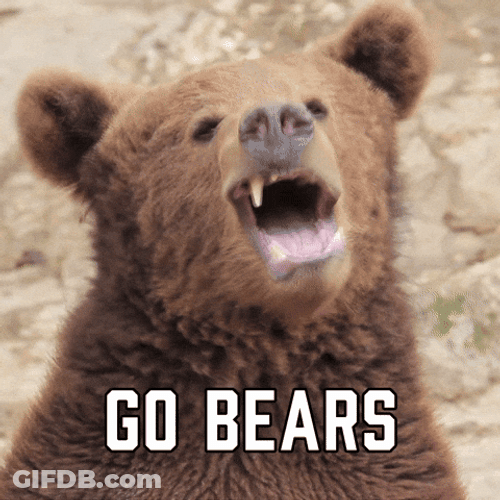 Go Bears Chicago Bears GIF