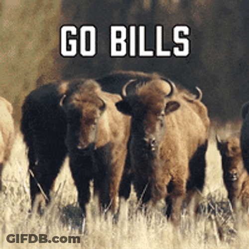 Go Bills Buffalo Line Up GIF