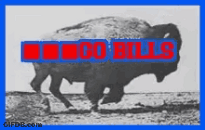 Go Bills Buffalo Running GIF