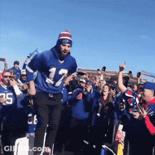Go Bills Fans Going Crazy GIF