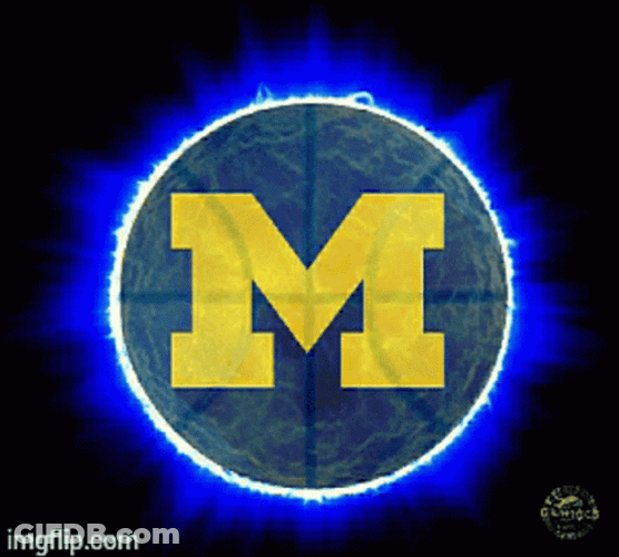 Go Blue GIF