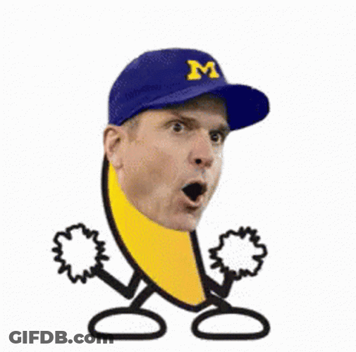 Go Blue GIF