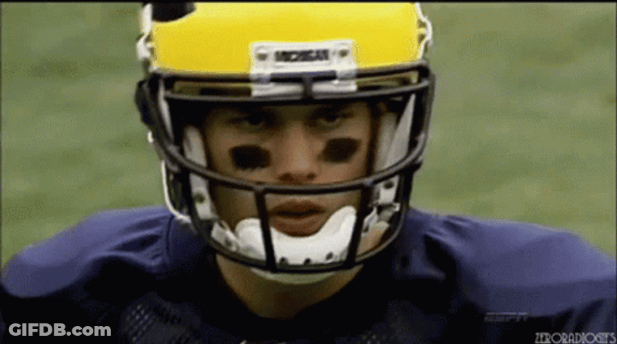 Go Blue GIF