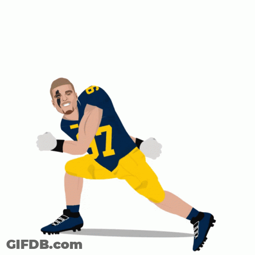 Go Blue GIF
