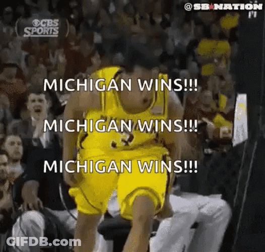 Go Blue GIF