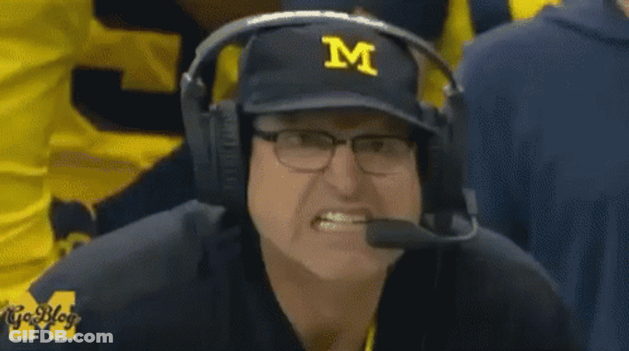 Go Blue GIF