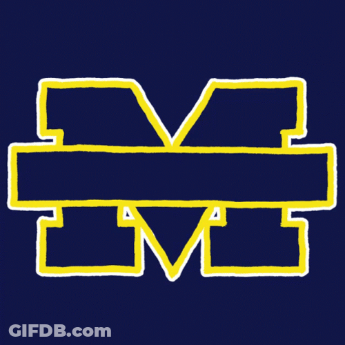 Go Blue Go Vote GIF