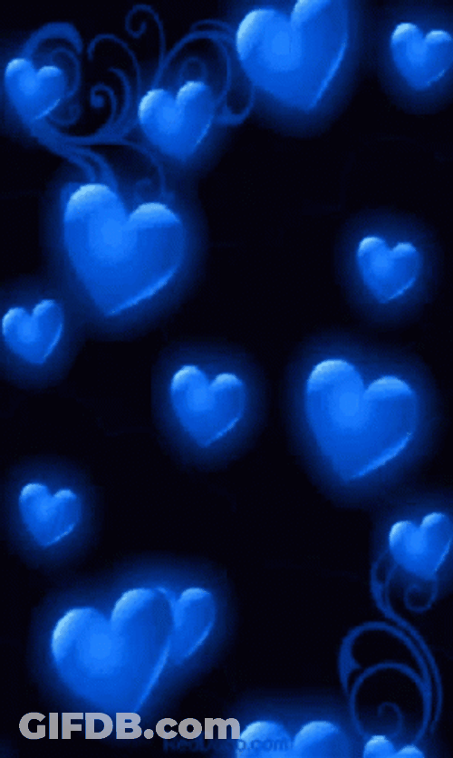 Go Blue GIF