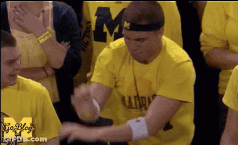Go Blue Michigan Fan Cheer GIF