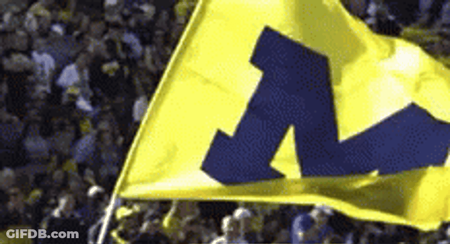 Go Blue Michigan Flag Waving GIF