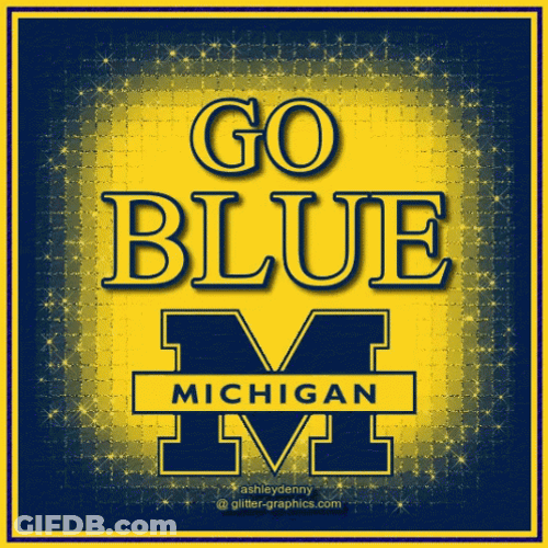 Go Blue GIF