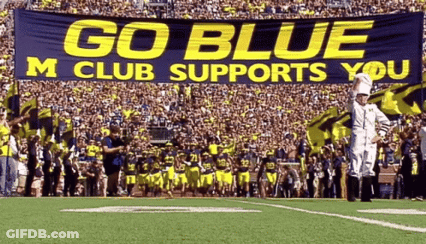 Go Blue GIF