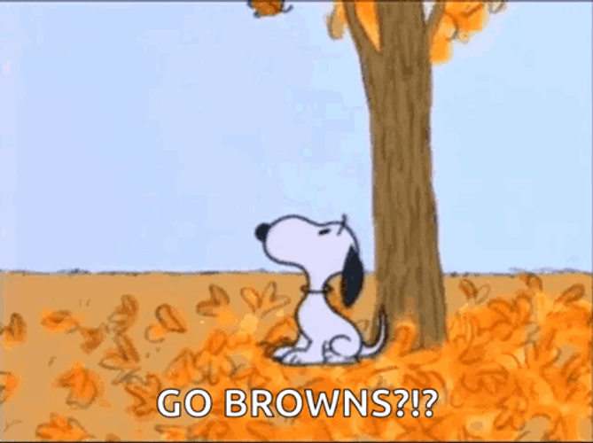 Go Browns Snoopy Blows Falling Leaves GIF