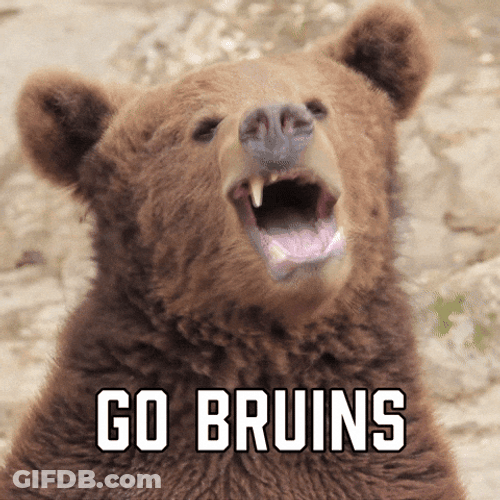 Go Bruins Cheers Bear GIF