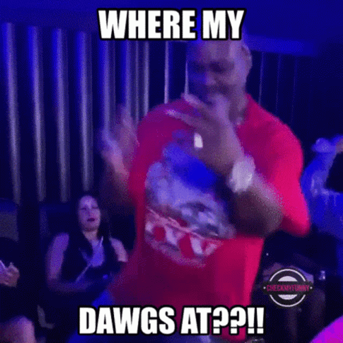 Go Dawgs GIF