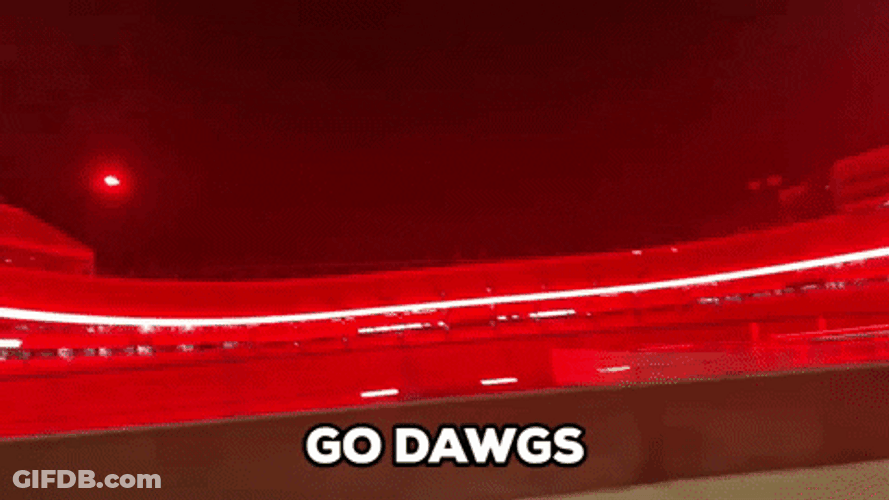 Go Dawgs Building Decorated With Red Lights GIF