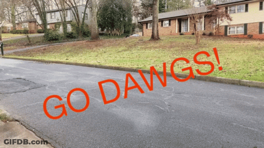 Go Dawgs Flag In A Scooter GIF