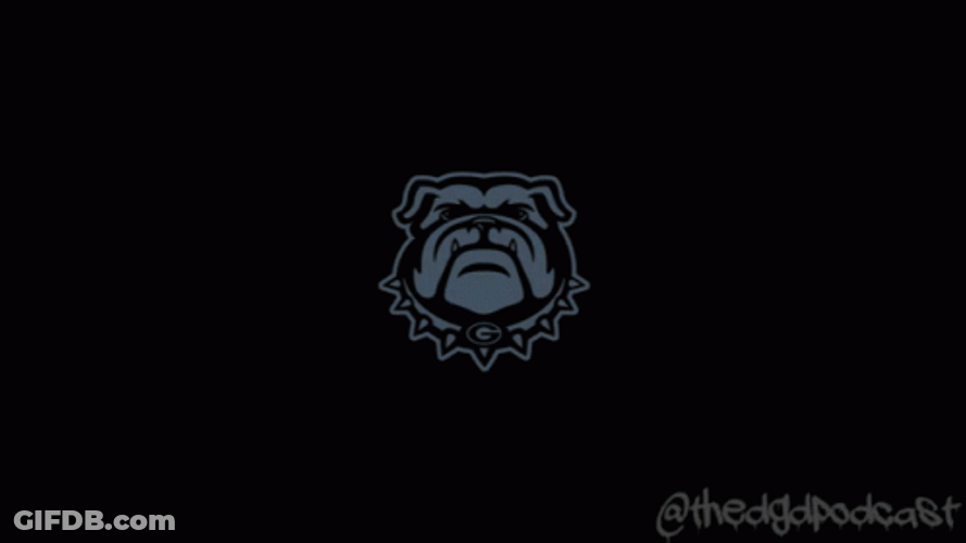 Go Dawgs GIF