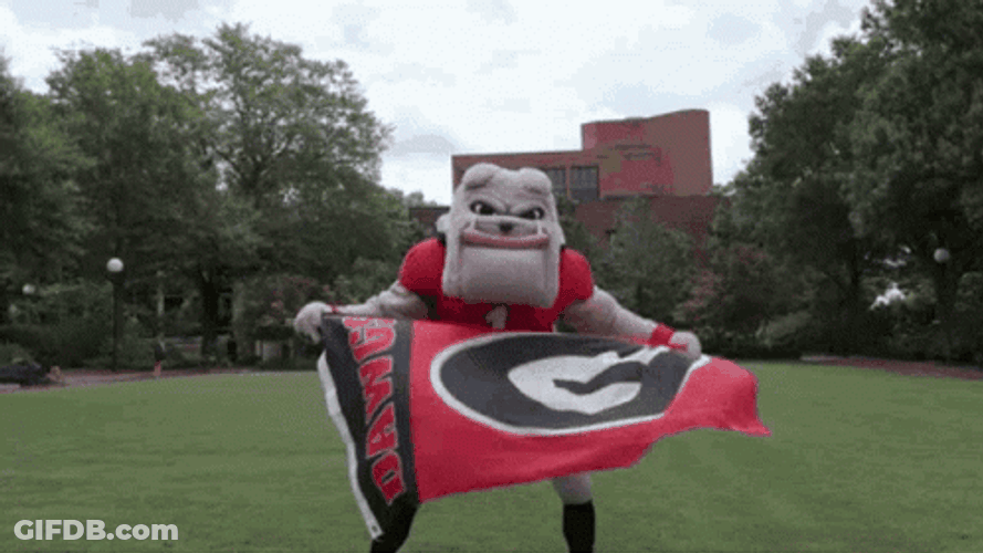 Go Dawgs Mascot With Flag GIF
