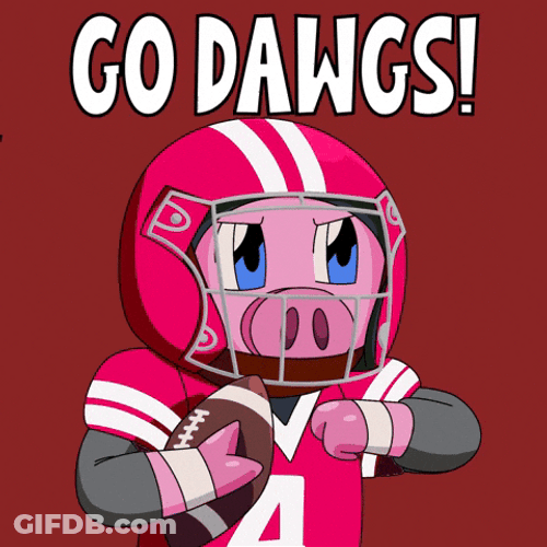 Go Dawgs Pig Wearing Football Uniform GIF