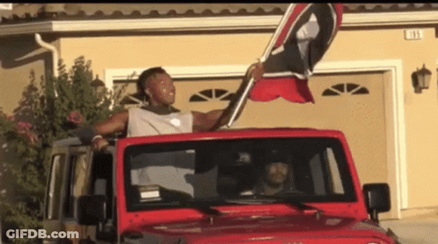 Go Dawgs Waving Flag In A Car GIF