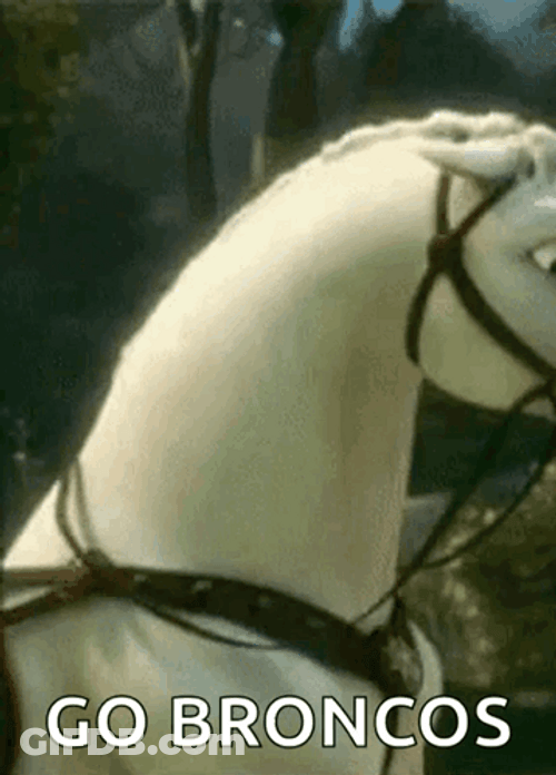 Go Denver Broncos Tangled Horse Maximus GIF