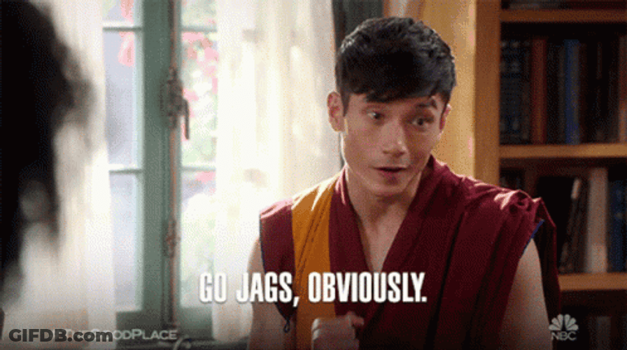 Go Duval Jags Obviously GIF