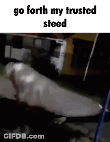 Go Forth My Trusted Steed Meme GIF
