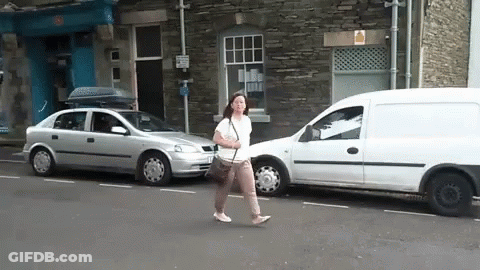 Go-Forth Pest Control Van Driving On Highway GIF