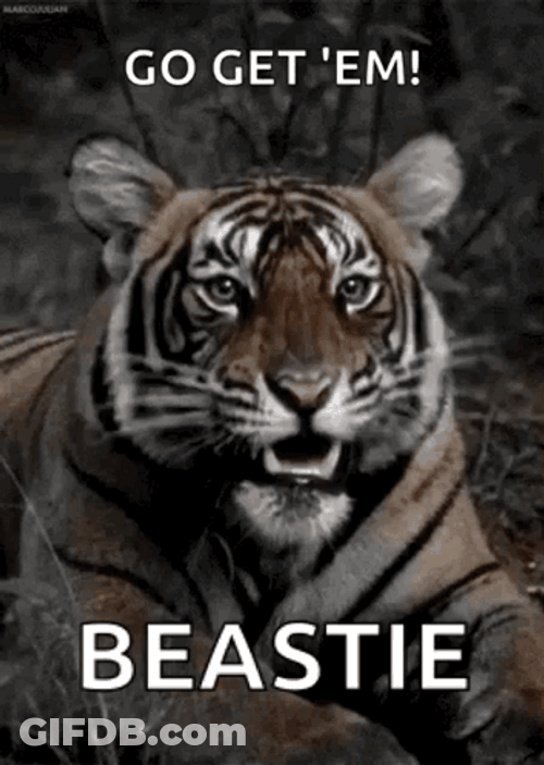 Go Get Em Beastie GIF