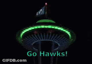 Go Hawks Sign With Flag GIF